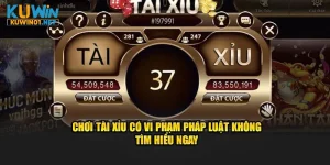 Chơi Tài Xỉu Có Vi Phạm Pháp Luật Không